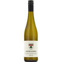 Werther-Windisch Riesling, Trocken, Rheinhessen, Rheinhessen, 2022, Weißwein