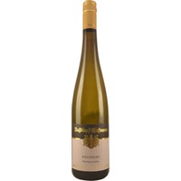 HOCHBENN Riesling trocken - Weingut Raßkopf-Hofmann