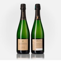 Terroirs Extra Brut Blanc de Blancs Grand Cru