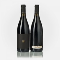 Montsant Finca Aiguasals Carignan