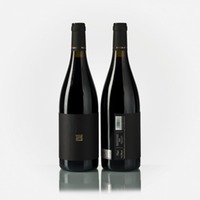 Montsant Finca Aiguasals Carignan