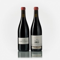 Montsant Carpathia Cabernet Sauvignon