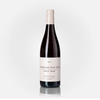 Bourgogne Côte-d’Or Pinot Noir rouge