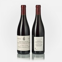 Bourgogne Hautes Côtes de Nuits Les Dames de Vergy