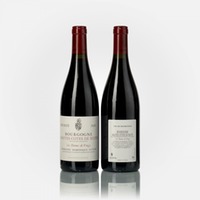 Bourgogne Hautes Côtes de Nuits Les Dames de Vergy