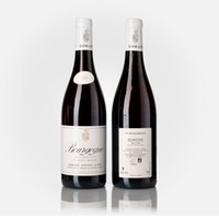Bourgogne Pinot Noir