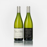 Côtes du Rhône "Couzou" blanc