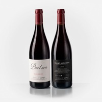 Collines Rhodaniennes IGP Pinot Noir "Schistes"