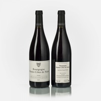 Bourgogne Hautes-Côtes de Nuits rouge