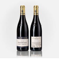 Laumersheimer Steinbuckel Pinot Noir