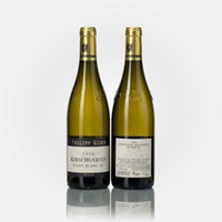 Pinot blanc trocken Kirschgarten Grosses Gewächs