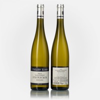 Kallstadter Steinacker Riesling Erste Lage trocken