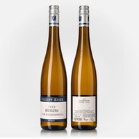 Riesling vom Kalksteinfels trocken