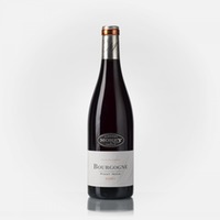 Bourgogne Pinot Noir
