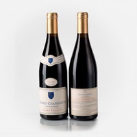 Gevrey-Chambertin Les Marchais Vieilles Vignes