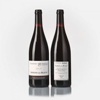 Savigny-Les-Beaune rouge