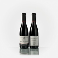 Savigny-Les-Beaune 1er Cru Aux Guettes