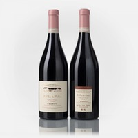 Chinon Le Clos de Pallus