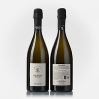 Terre d'Histoire Extra Brut 1er Cru Les Mesneux