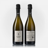 Terre d'Histoire Brut 1er Cru Les Mesneux