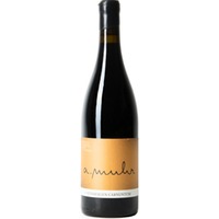 Chardonnay Ried Gaisberg trocken - Weingut Andreas Muhr