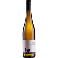 Pflüger Riesling vom Buntsandstein, Trocken, Pfalz, Pfalz, 2022, Weißwein