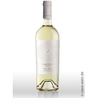 Fantini, Pinot Grigio Terre degli Osci IGP, Farnese
