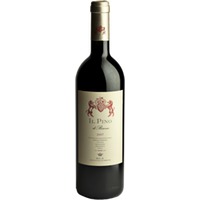 Il Pino di Biserno