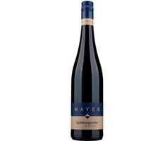 Spätburgunder - vom Tonmergel - trocken - Weinhof Mayer