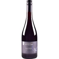 Pinot Noir trocken - Weingut am Vögelein