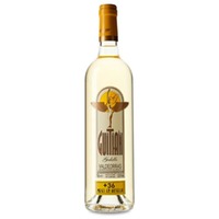 Guitián Godello 36 meses en botella