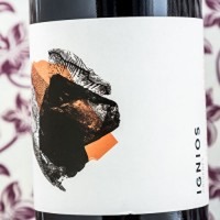 Ignios Vijariego Negro Magnum