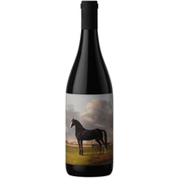 Bobal DO Utiel-Requena trocken - AllBlack Wines