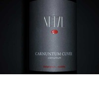 Netzl Carnuntum Cuvee Bio