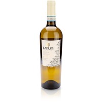 ILatium Morini Soave DOC