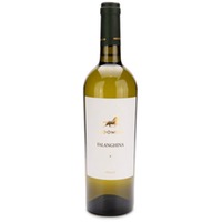 Indomito Falanghina del Beneventano 'Indomito' IGT