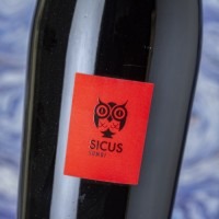 Sicus Sumoi