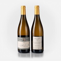 Saint-Joseph blanc