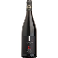 La source d'Elie Côtes du Rhône Villages Visan AOP trocken Bio - Domaine de Coste Chaude