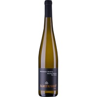Riesling Kabinett Alte Reben Oberemmeler Altenberg lieblich - Weingut Agritiushof