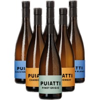 Cantina Puiatti Probierpaket Bianco di Friuli 6er Angebot