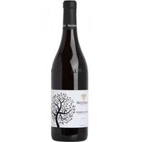 Nebbiolo d'Alba Doc La Reala