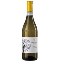 Favorita Doc Langhe