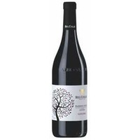 Barbera d'Asti Superiore Docg Nuwanda