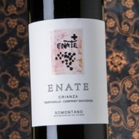 Enate Crianza