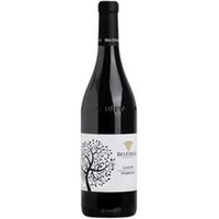 Nebbiolo Doc Langhe