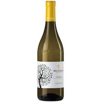Nascetta Doc Langhe