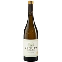Sauvignon Blanc delle Venezie