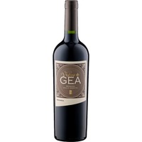 Vástago de Gea Bonarda, Mendoza, Mendoza, 2021, Rotwein