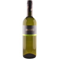Grüner Veltliner trocken - Bioweingut Anita und Richard Goldenits